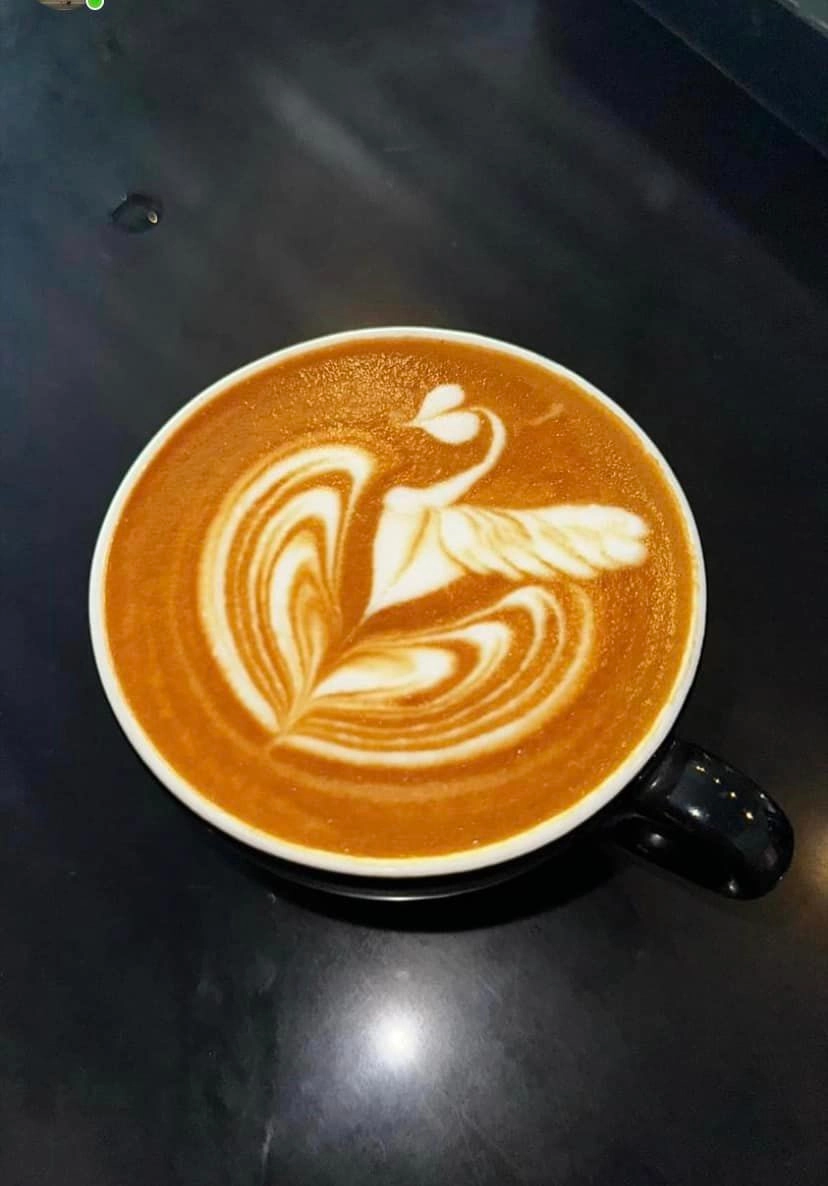 Cappuccino (Size L)