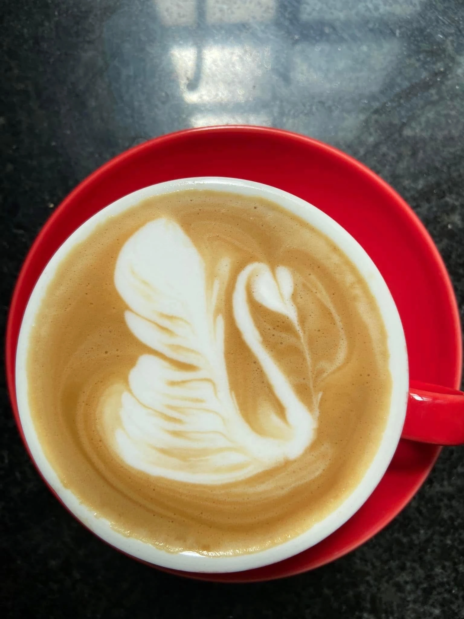 Latte (Size M)
