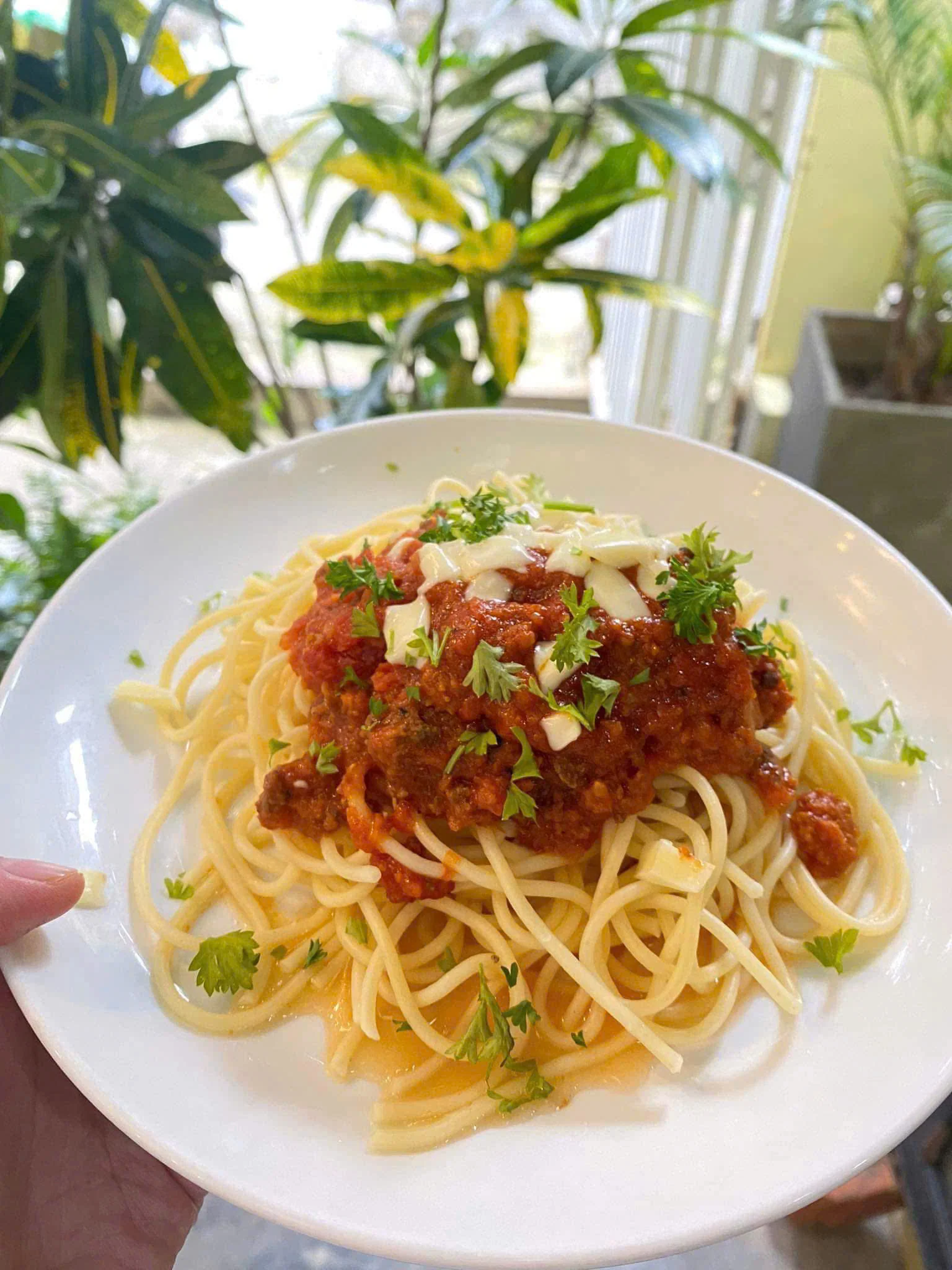Spaghetti
